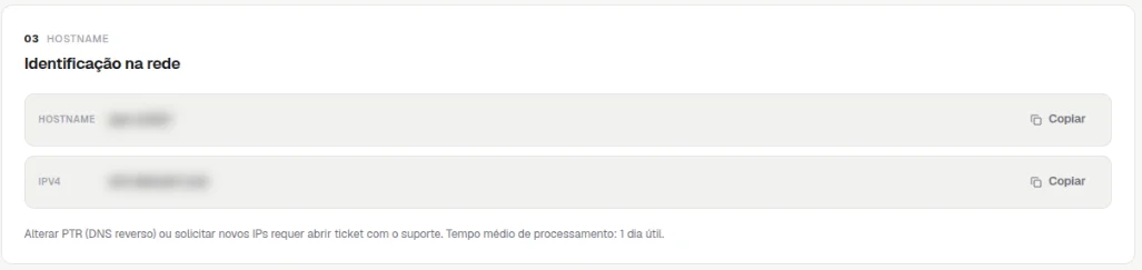 Seção Identificação na rede com o hostname e o IPv4 borrados, cada um com o botão Copiar, e o aviso sobre DNS reverso e novos IPs