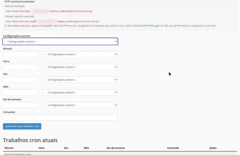 Formulário Adicionar novo trabalho cron com os exemplos de comando PHP, a lista Configurações comuns e os campos Minuto, Hora, Dia, Mês, Dia da semana e Comando