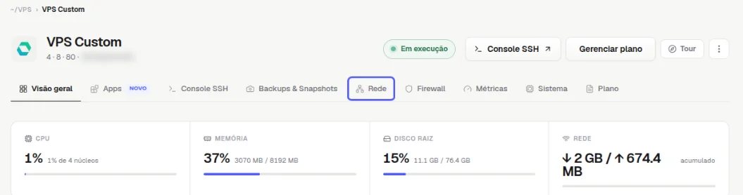 Abas da VPS com a aba Rede destacada