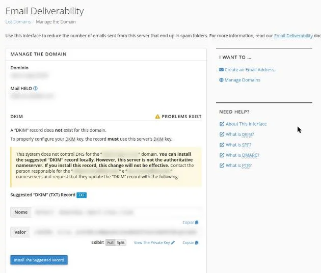 Página Manage the Domain com a seção DKIM marcada como Problems Exist, o aviso de que o DNS do domínio está em outros nameservers e o registro DKIM sugerido com Nome e Valor borrados e os botões Copiar